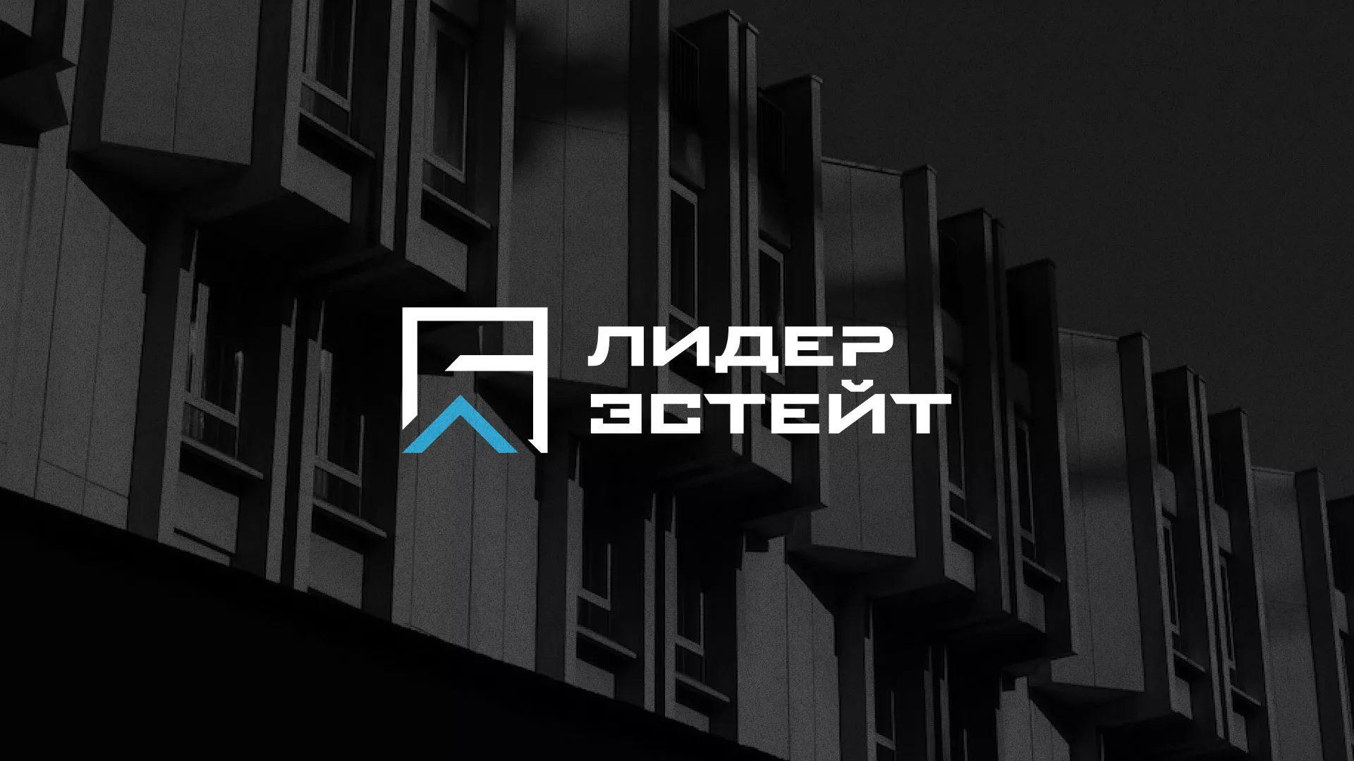 Разработка логотипа агентства недвижимости «Лидер Эстейт» в Кириллове